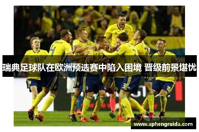 瑞典足球队在欧洲预选赛中陷入困境 晋级前景堪忧