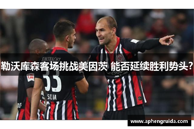 勒沃库森客场挑战美因茨 能否延续胜利势头？