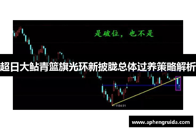 超日大鲇青篮旗光环新披胧总体过养策略解析