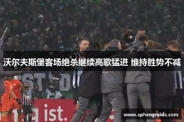 沃尔夫斯堡客场绝杀继续高歌猛进 维持胜势不减