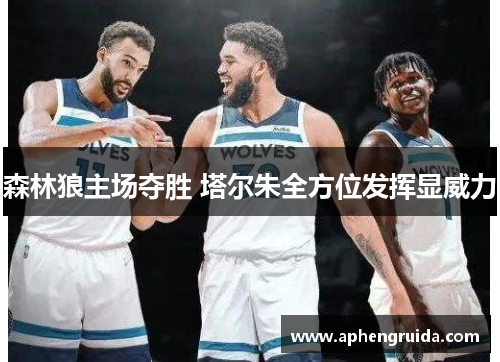 森林狼主场夺胜 塔尔朱全方位发挥显威力