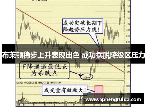 布莱顿稳步上升表现出色 成功摆脱降级区压力