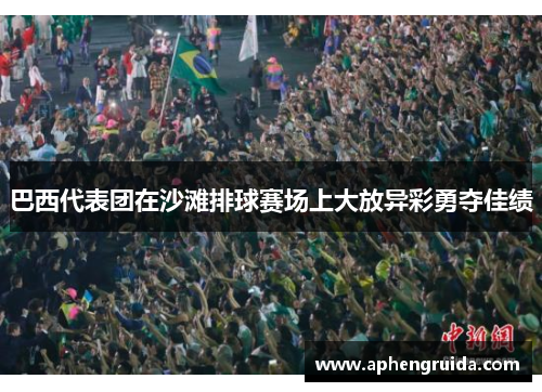 巴西代表团在沙滩排球赛场上大放异彩勇夺佳绩