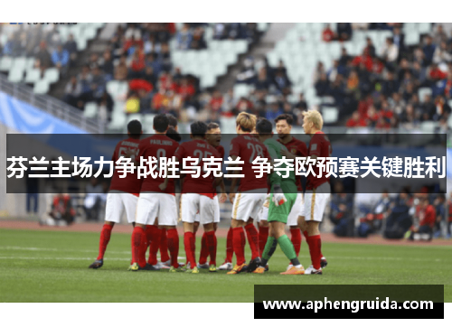 芬兰主场力争战胜乌克兰 争夺欧预赛关键胜利