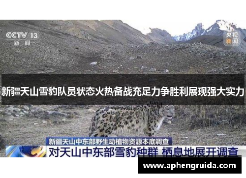 新疆天山雪豹队员状态火热备战充足力争胜利展现强大实力