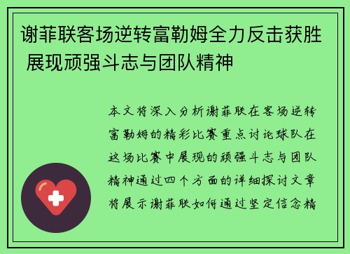 谢菲联客场逆转富勒姆全力反击获胜 展现顽强斗志与团队精神
