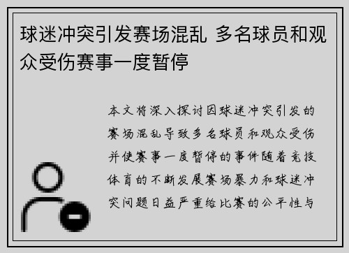 球迷冲突引发赛场混乱 多名球员和观众受伤赛事一度暂停