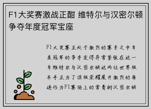 F1大奖赛激战正酣 维特尔与汉密尔顿争夺年度冠军宝座